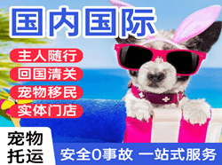 布尔津喀纳斯航空快递国际宠物托运 【国